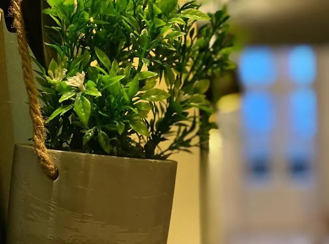 Διαμέρισμα La Parenthese Gourmande Avec Clim Et Parking *