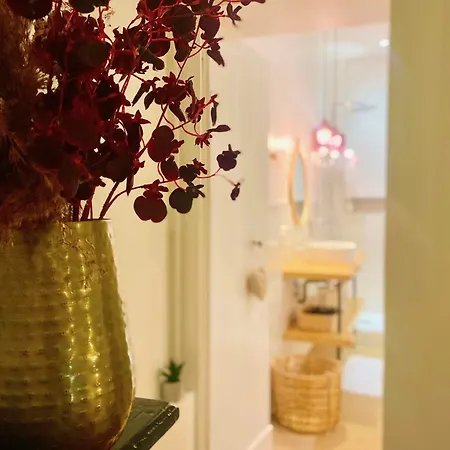 Apartamento La Parenthese Gourmande Avec Clim Et Parking